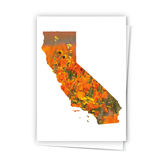 California Greeting Card