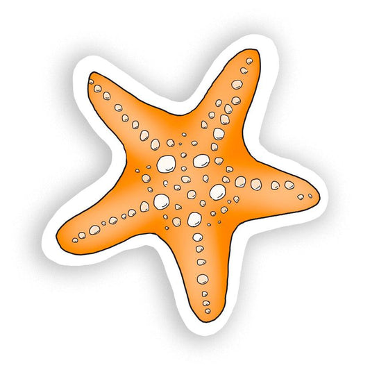 Radiant Orange Starfish Sticker - Lively Ocean Floor Sticker - JC Designs