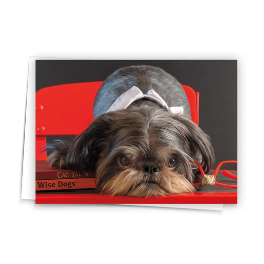 Brussels Griffon Scholar Greeting Card - 'A Wise Dog knows many Cat Tales' - JC Designs